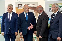 IMG_2442.jpg